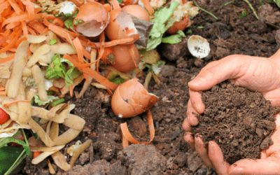 Carolyn’s Compost Story