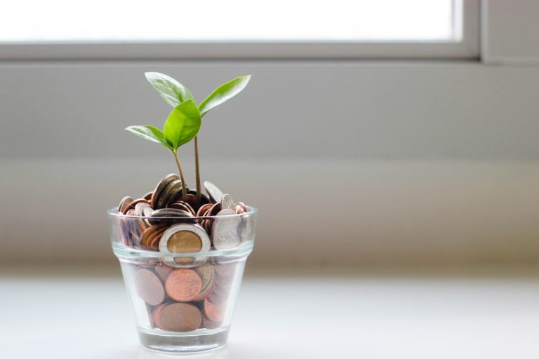 10 Ways to Save Money While Living Zero Waste 